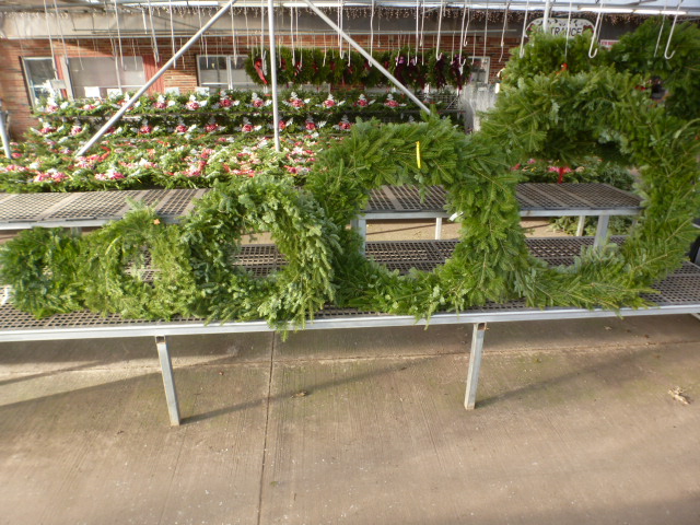 Un-decorated Wreaths