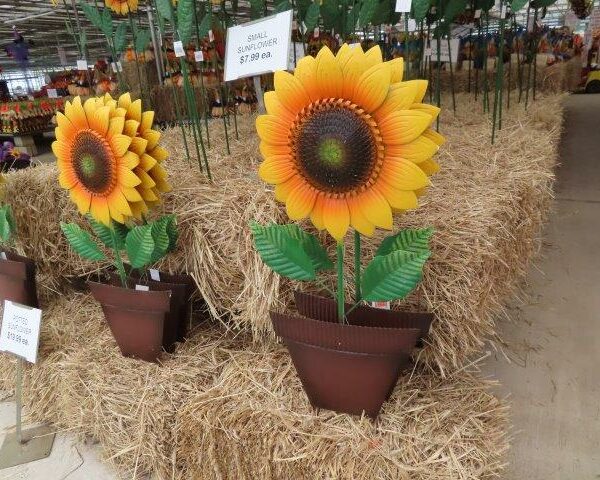 Potted Sunflower Lawn Ornament