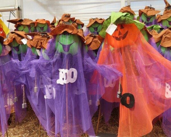 Large Sheer Scarecrows