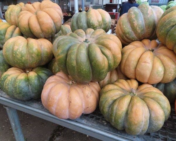 Fairy Tale Pumpkins