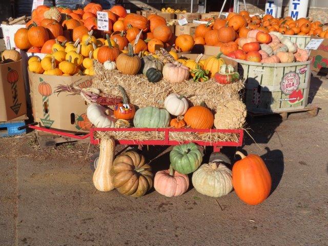 Pumpkins, Hay and Corn