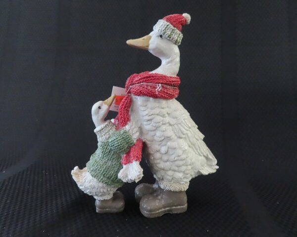 Ducks with Scarf and Sweater