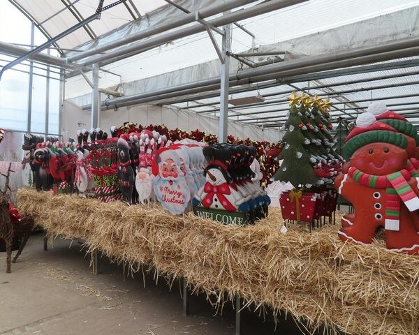 Christmas Lawn Ornaments