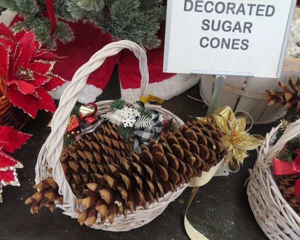 Decorated Sugar Cones