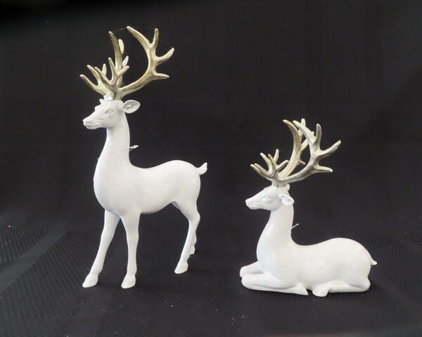 White Deer