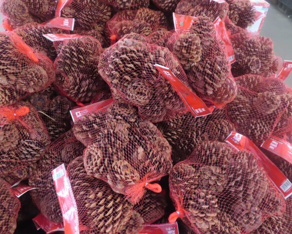 Scented Pine Cones