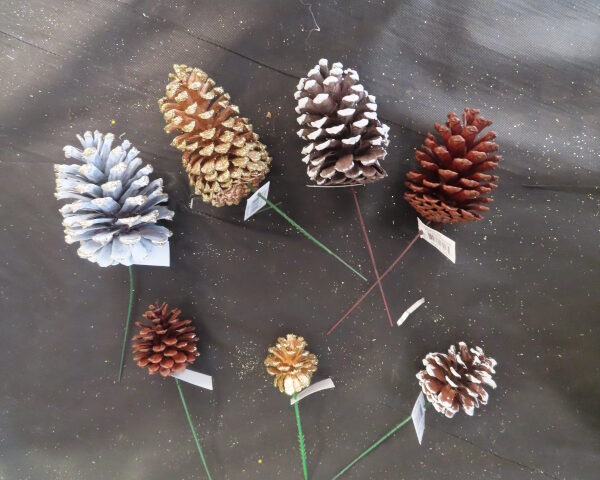 Colored Pine Cones