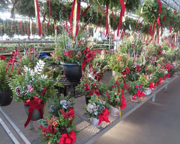 Christmas Centerpieces