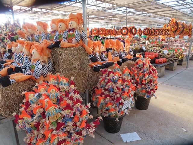Fall Decorations