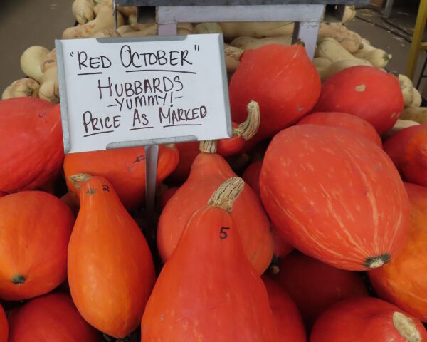 "Red October" Hubbards