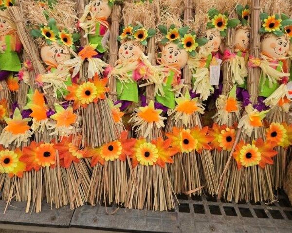 Small Scarecrow on a Broom