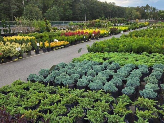 Nursery