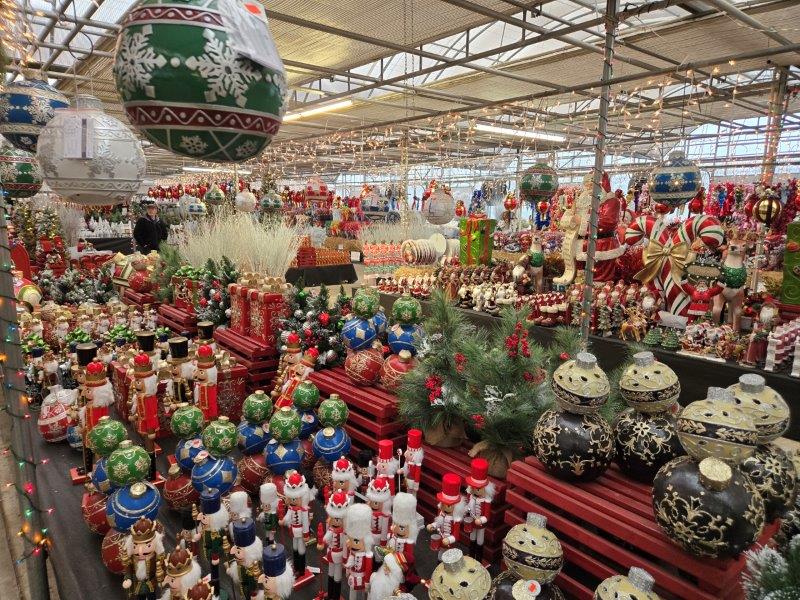 Christmas Decorations have Arrived