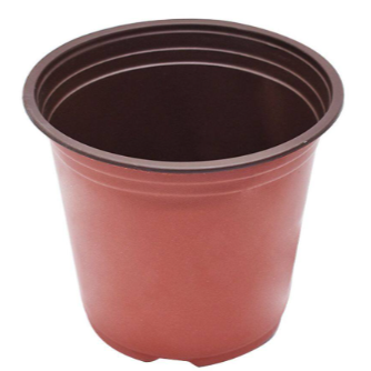 6" Plastic Pot-image