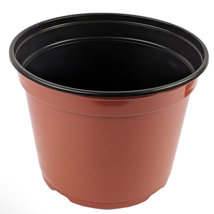 8" Plastic Pot-image