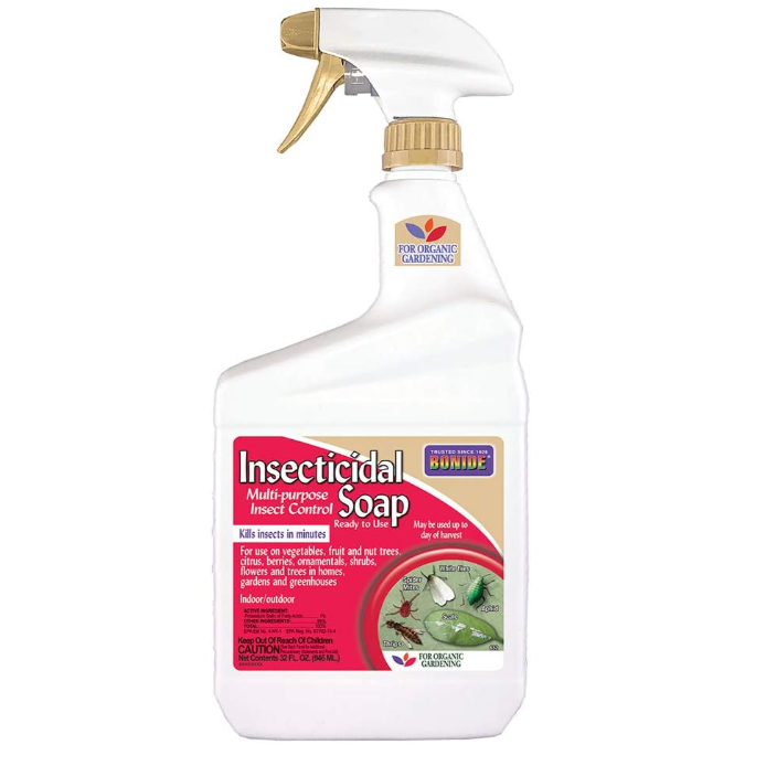 Insecticidal Soap-image